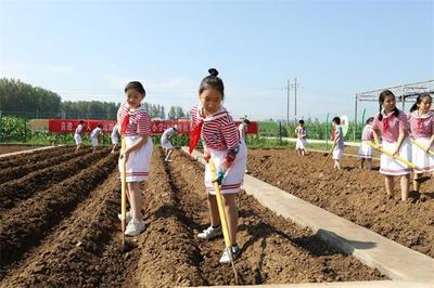 漯河:小学生走进田间学种蔬菜